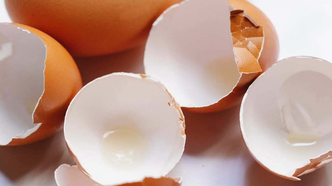 formas reutilizar cascara de huevo