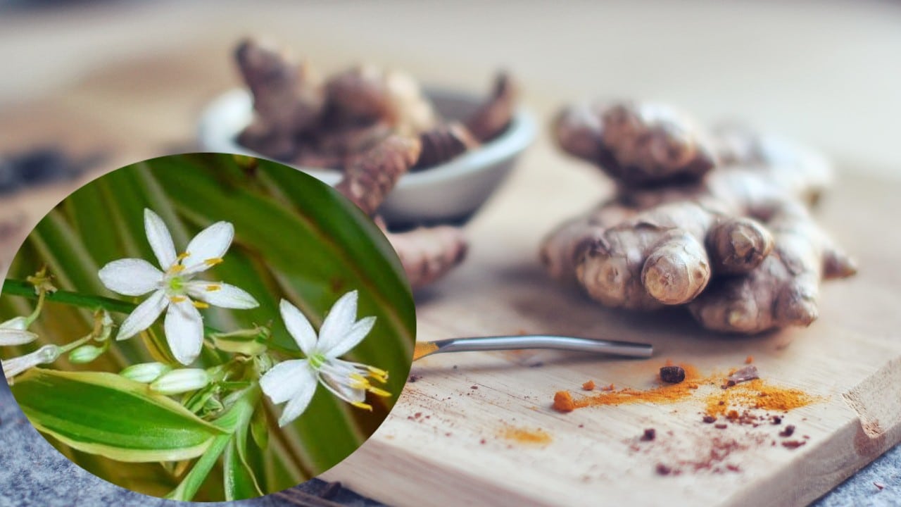 flores en tu planta lazo de amor