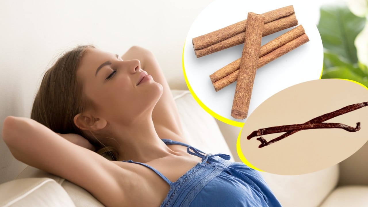 Aromatizante de vainilla y canela