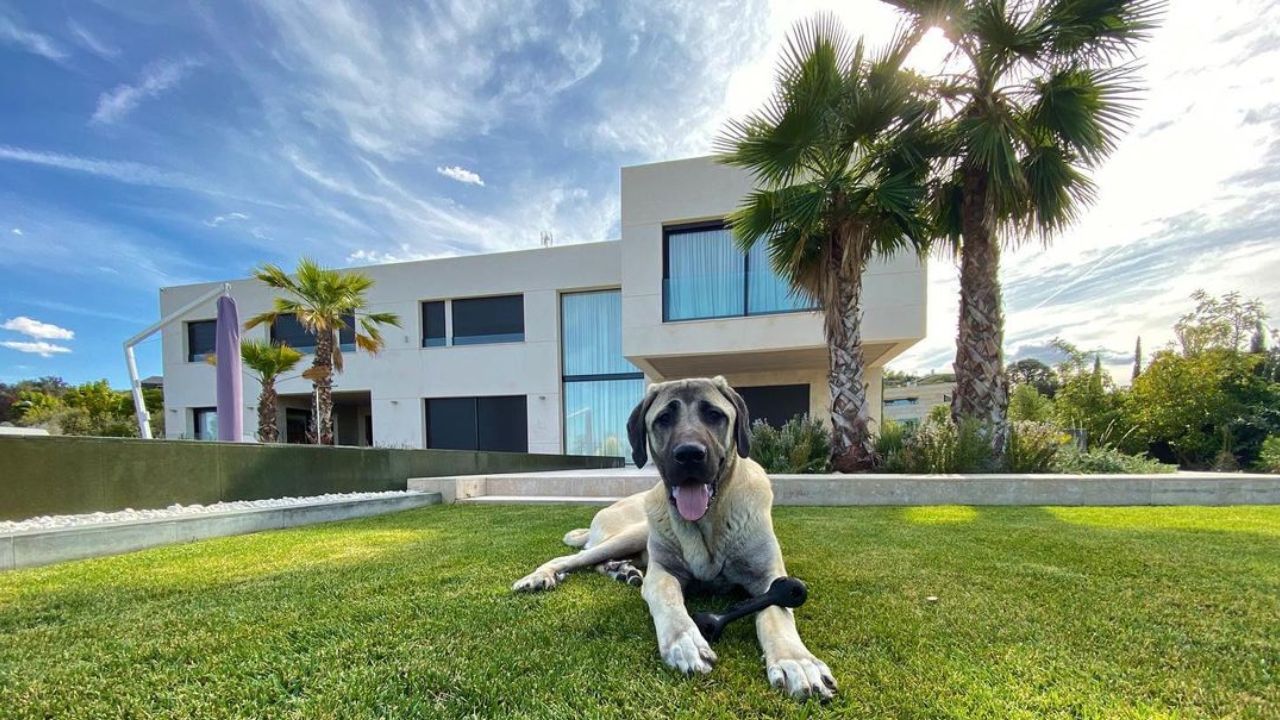 Así es la casa de Karim Benzema