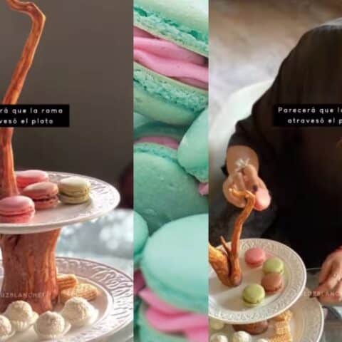 plato botanero con ramas naturales