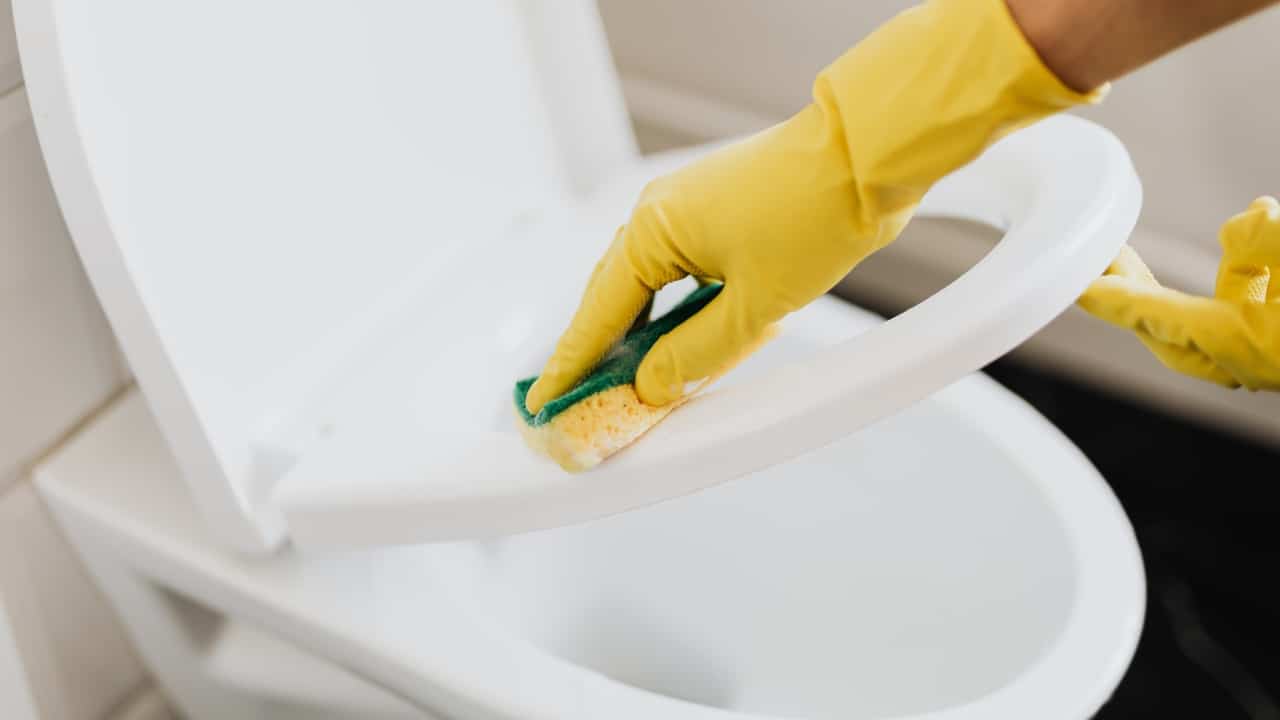 Blanquear asiento del baño