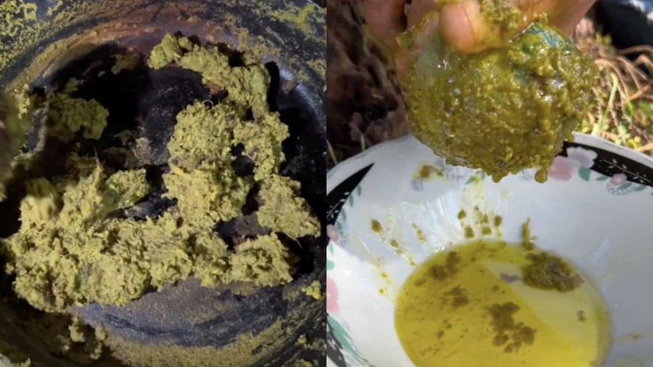 aceite de aguacate casero