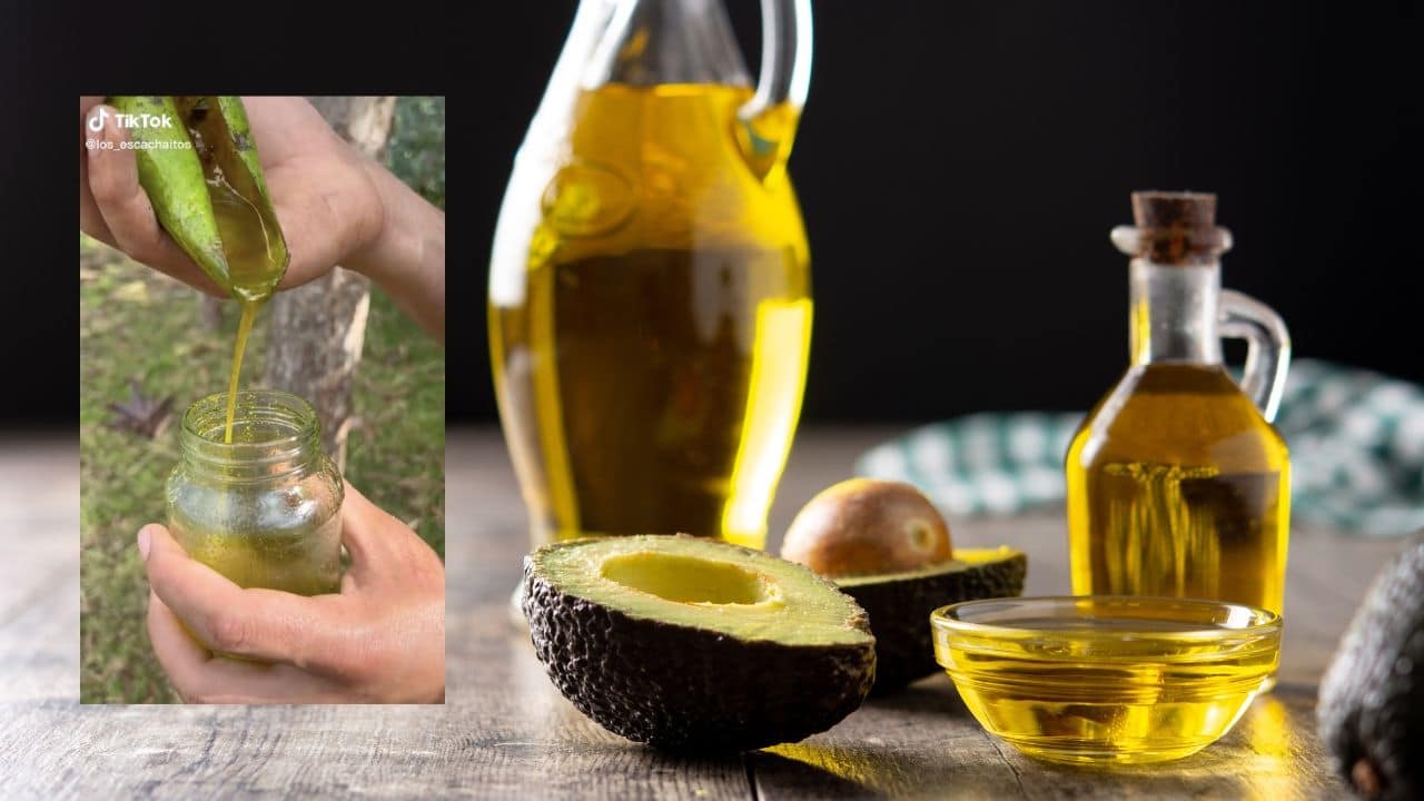 como hacer aceite de aguacate