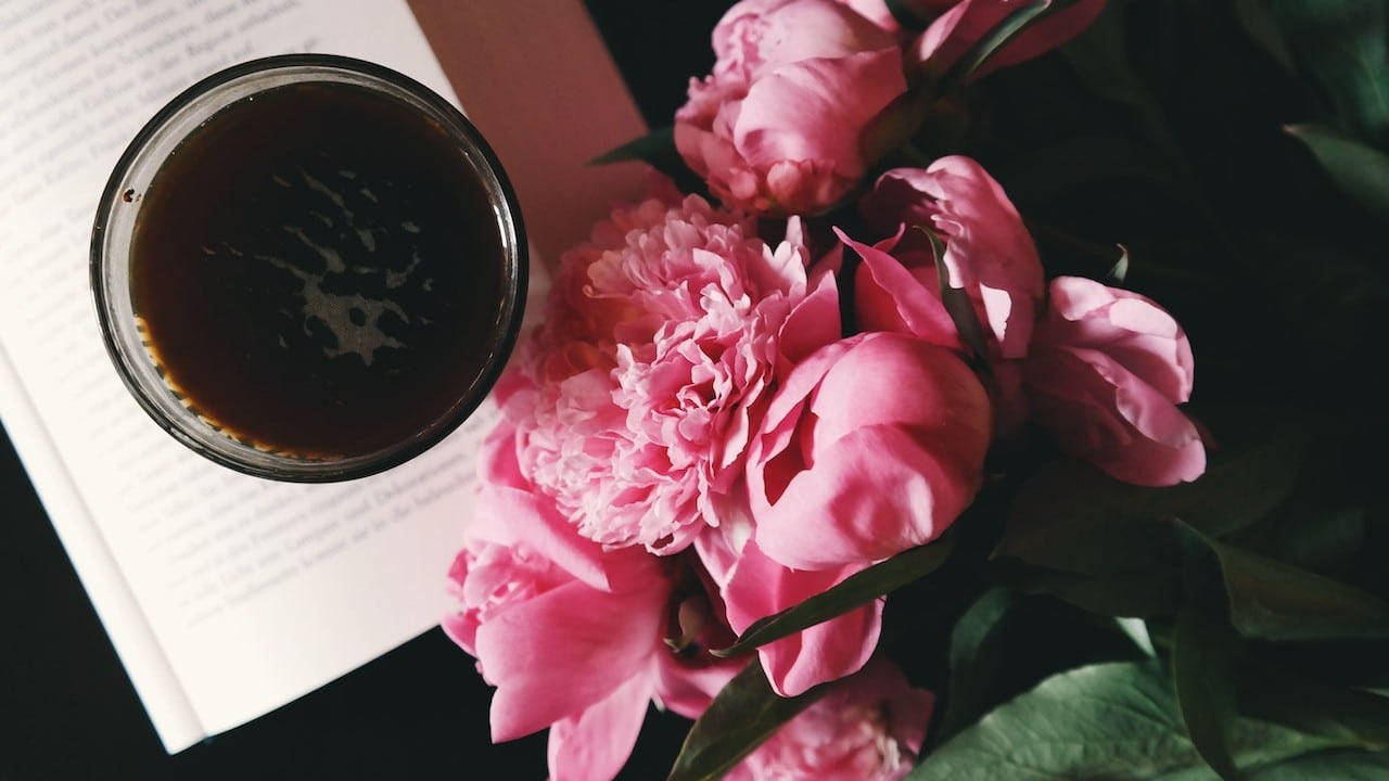 usos del refresco en las plantas