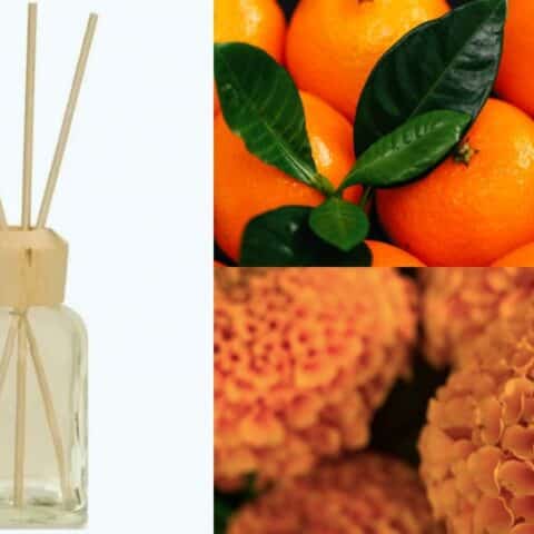 aromatizante casero cempasuchil y mandarina