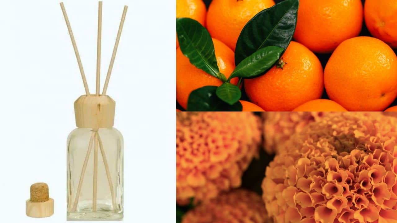 aromatizante casero cempasuchil y mandarina