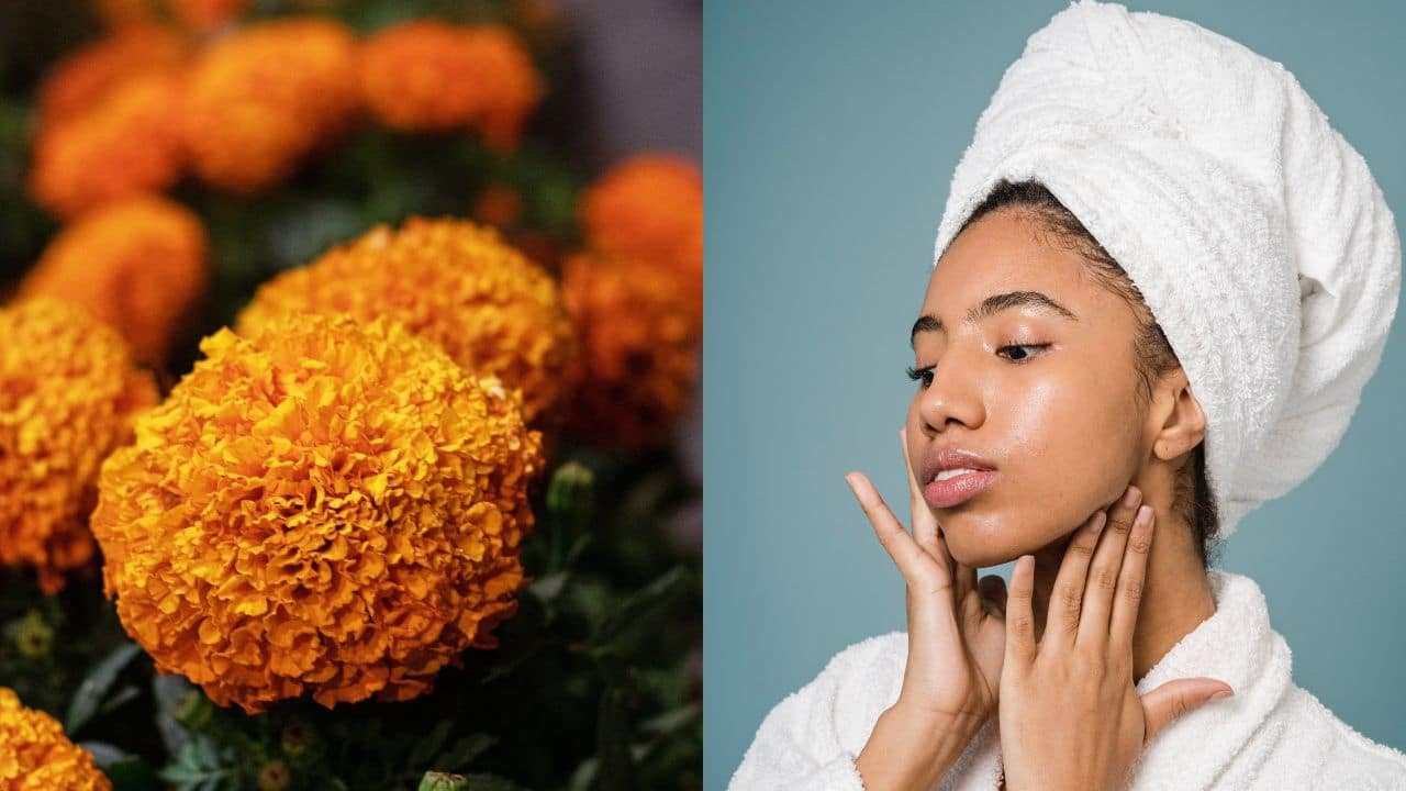 crema antiedad con flor de cempasuchil