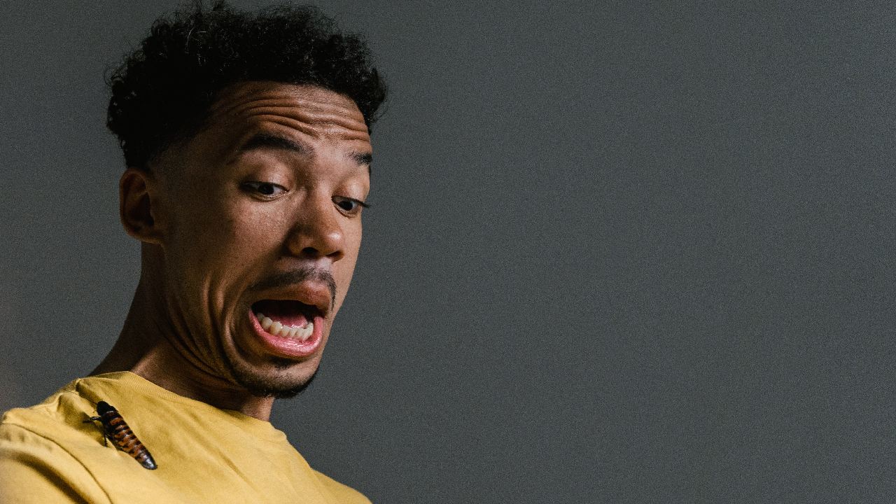 como evitar cucarachas cama