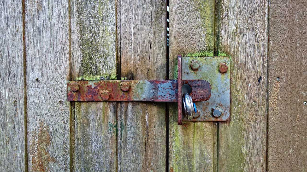 Cómo quitar el moho de la madera