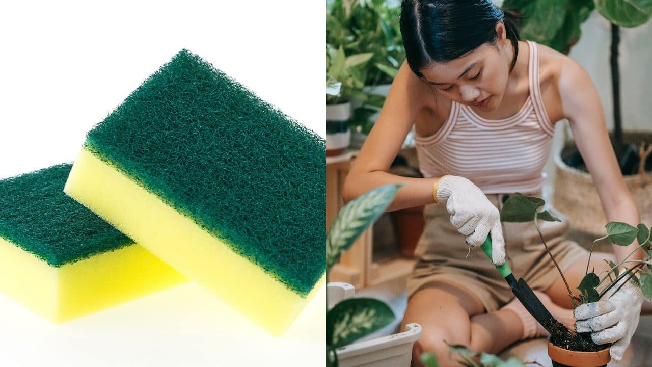 usar las esponjas para trastes viejas