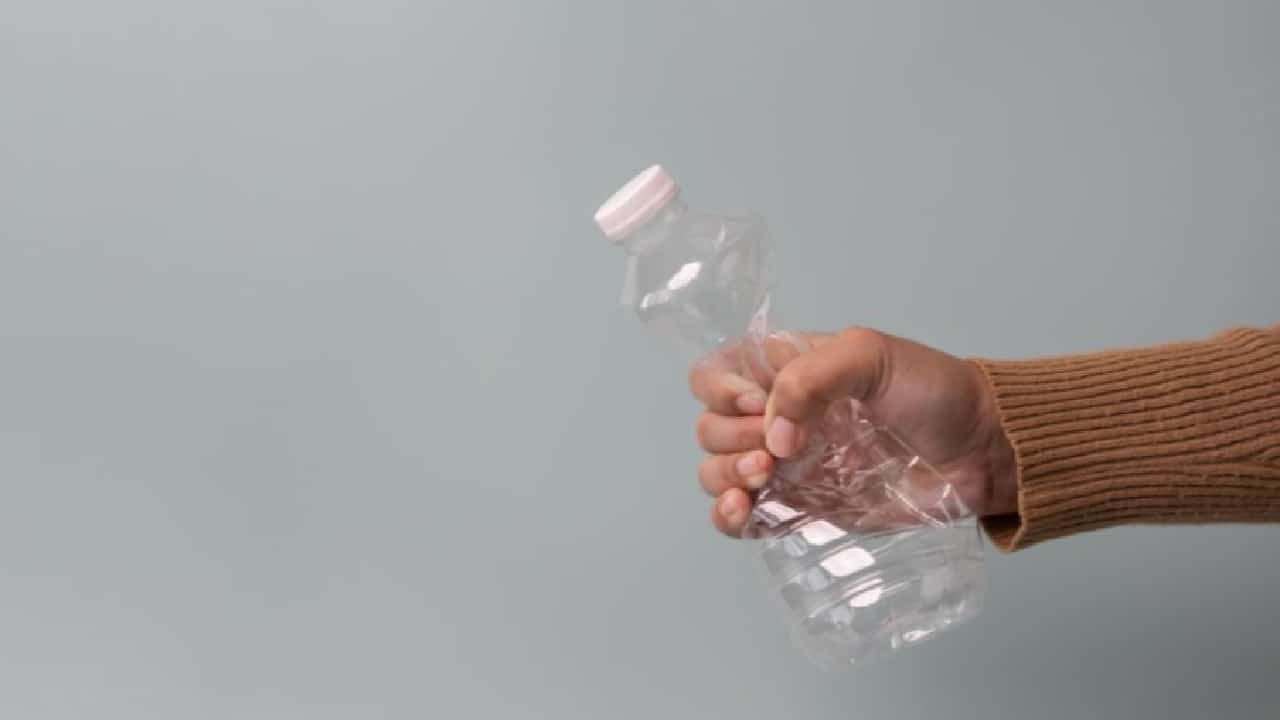 cuanto pagan por kilo de pet