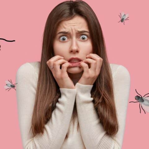 enfermedades transmiten las moscas