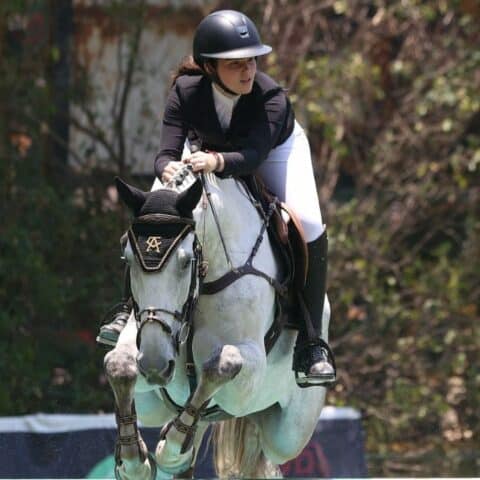 caballo pura sangre de Emily Cinnamon