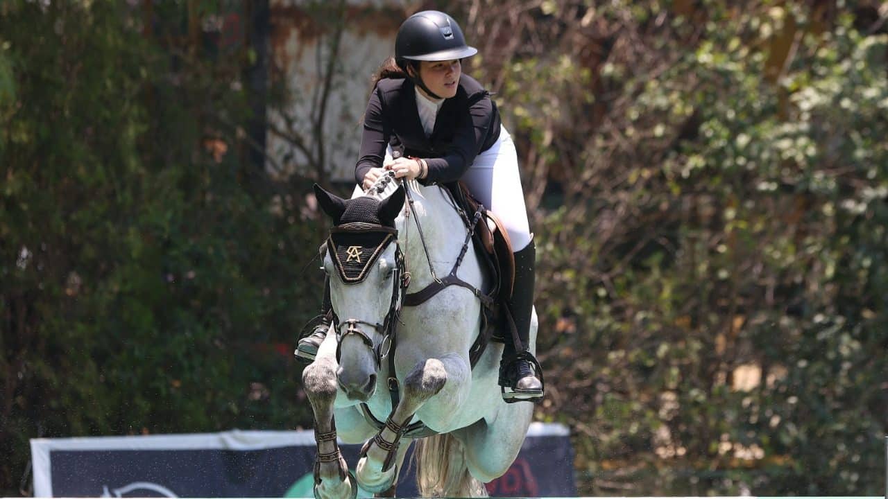 caballo pura sangre de Emily Cinnamon