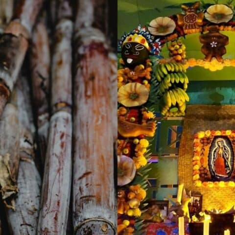 arco de canas dia de muertos