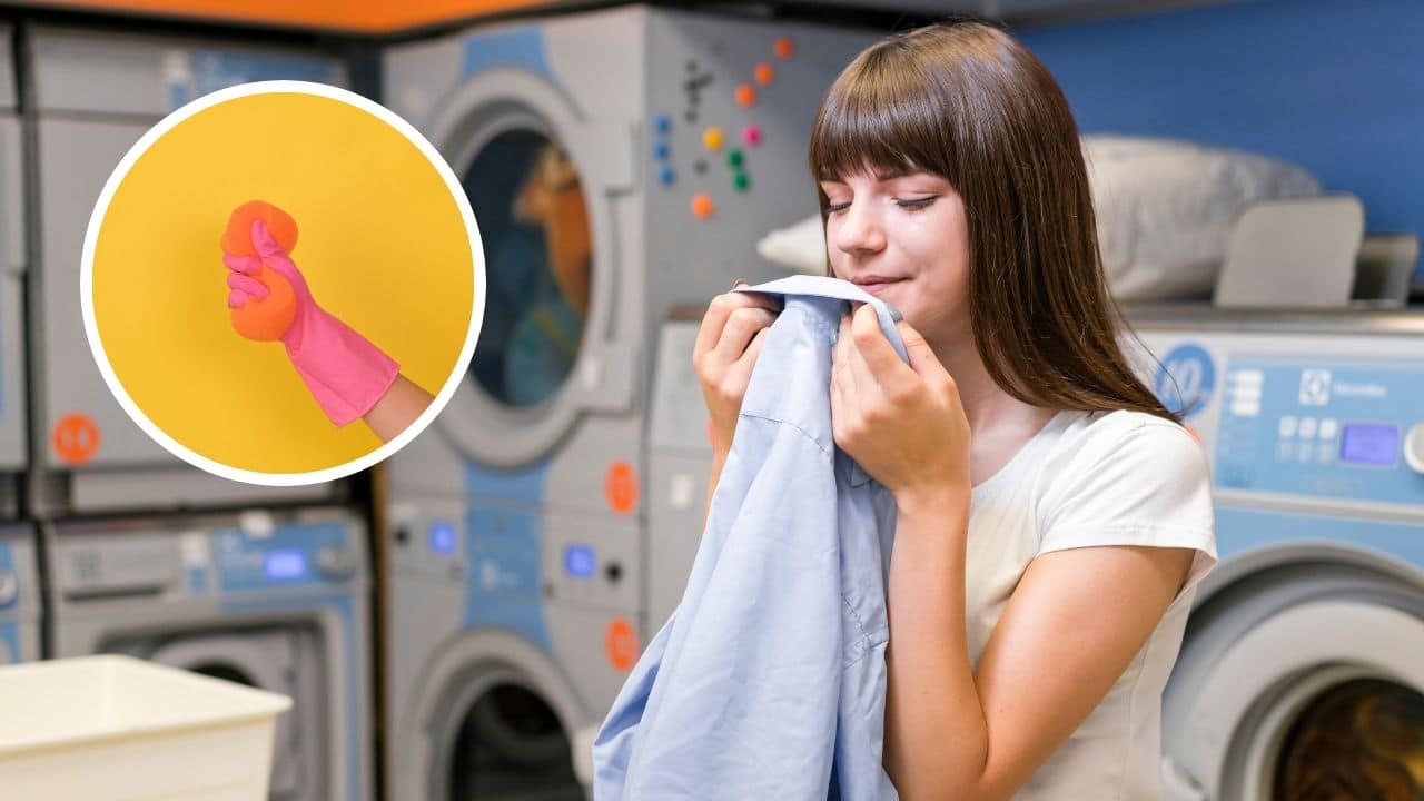 ropa huela siempre a suavizante