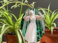 historia de la planta "Lazo de amor"