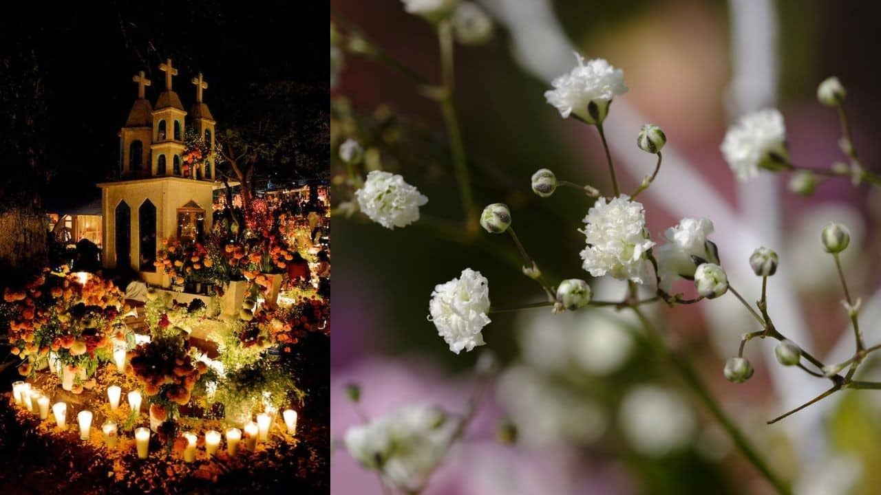 velo de novia dia de muertos