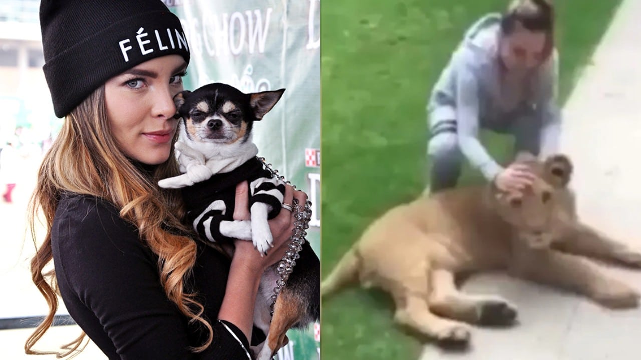 La colección de animales exóticos de Belinda