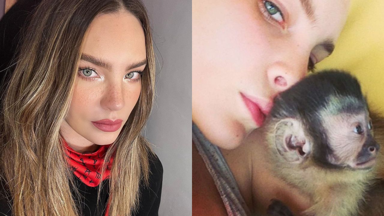 La colección de animales exóticos de Belinda