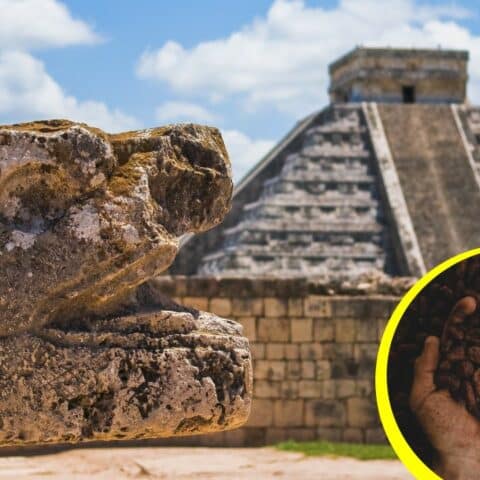 los mayas asociaron el cacao con el inframundo