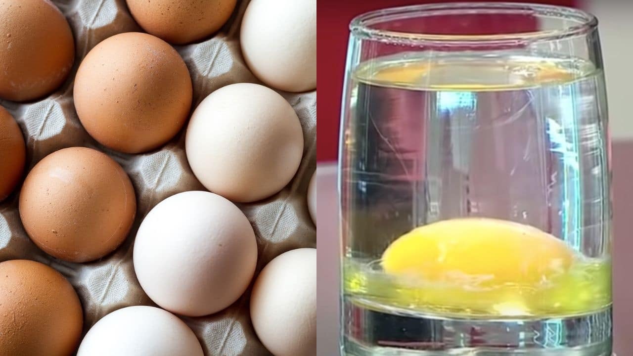 significado agua turbia limpia con huevo