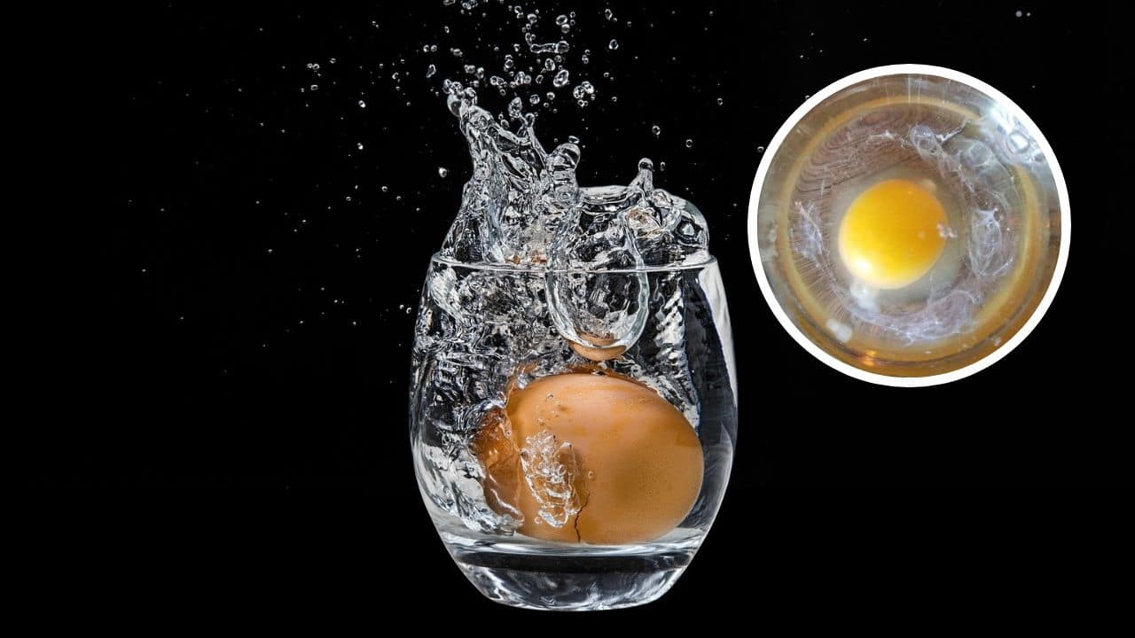 limpia con huevo agua turbia