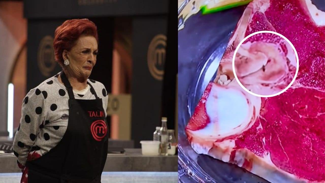 plaga cucarachas masterchef celebrity