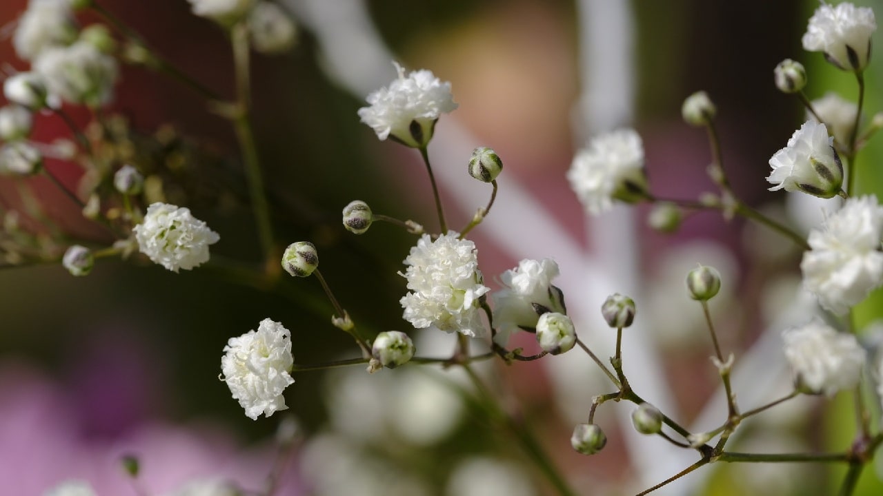 altar dia de muertos ninos