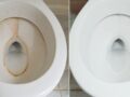 descalcificar la taza del baño