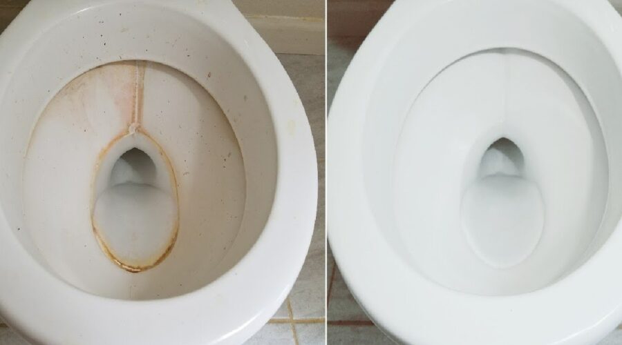 descalcificar la taza del baño
