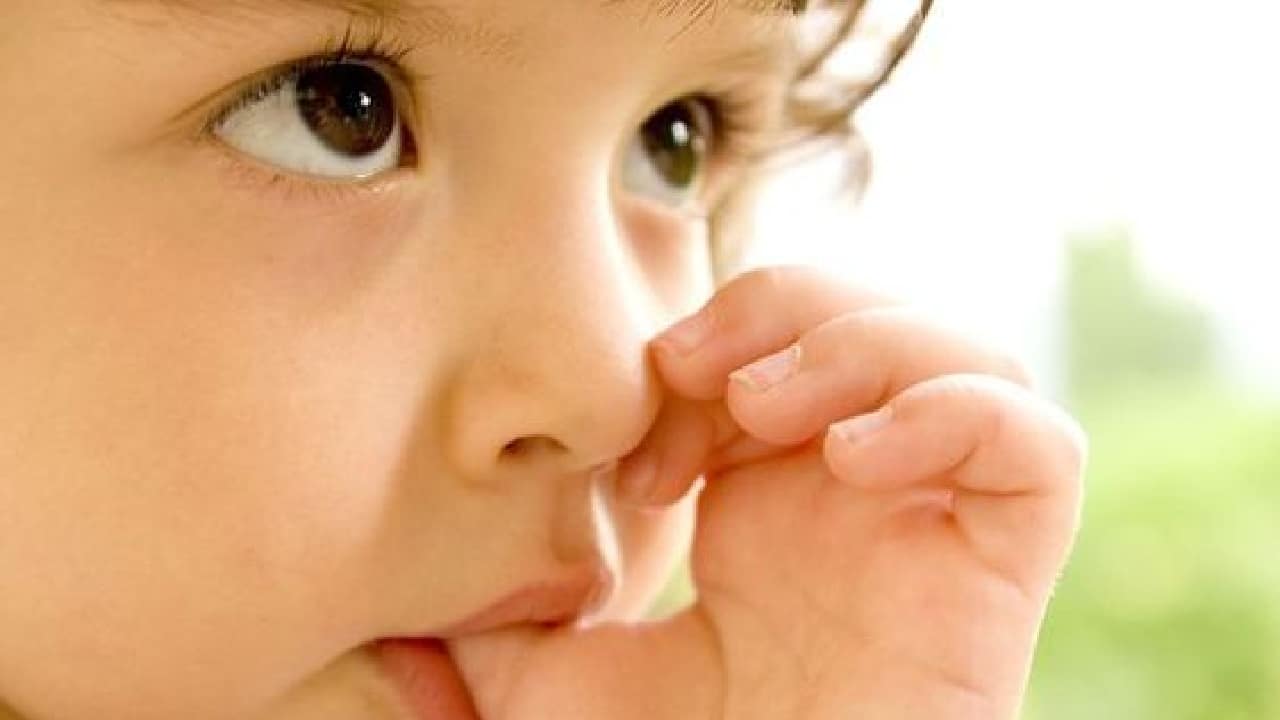 pegamento comestible para bebes