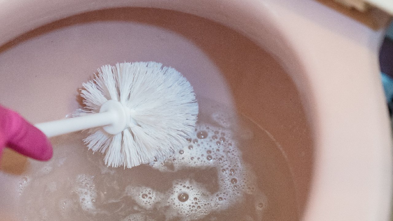 limpiar cepillo de bano