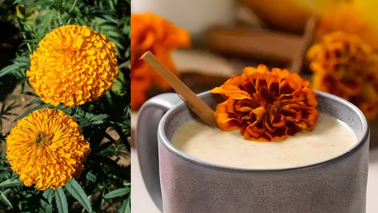atole de flor de cempasuchil