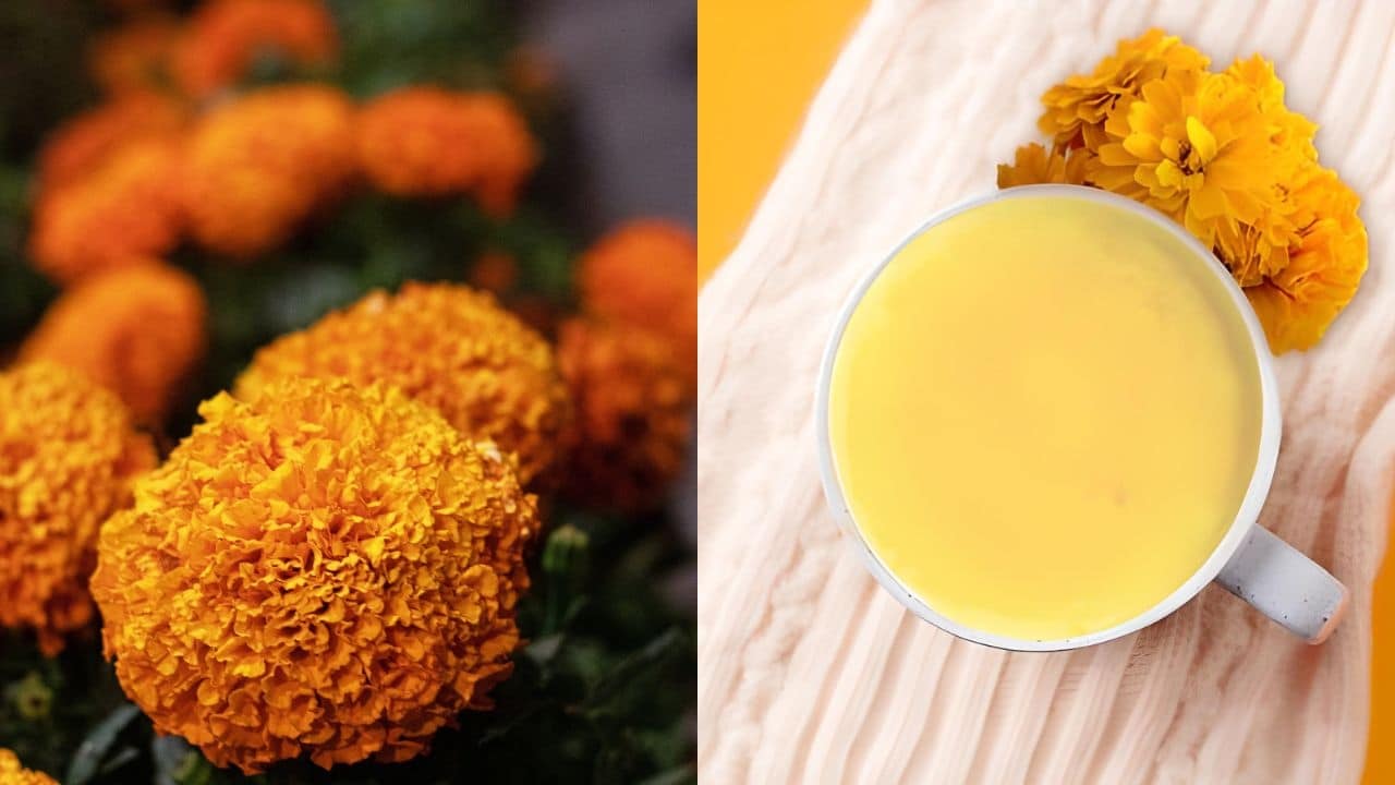 atole de cempasuchil