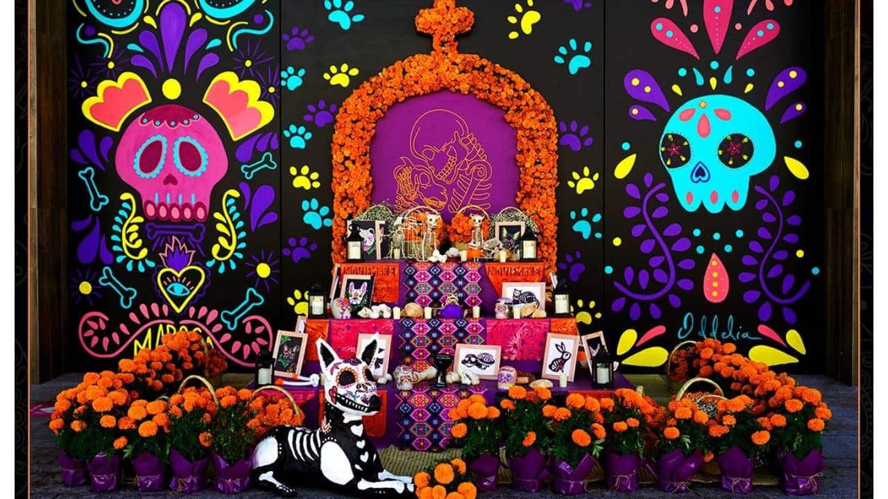 Ofrenda de Día de Muertos a las mascotas