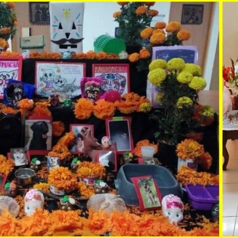 Ofrenda de Día de Muertos a las mascotas