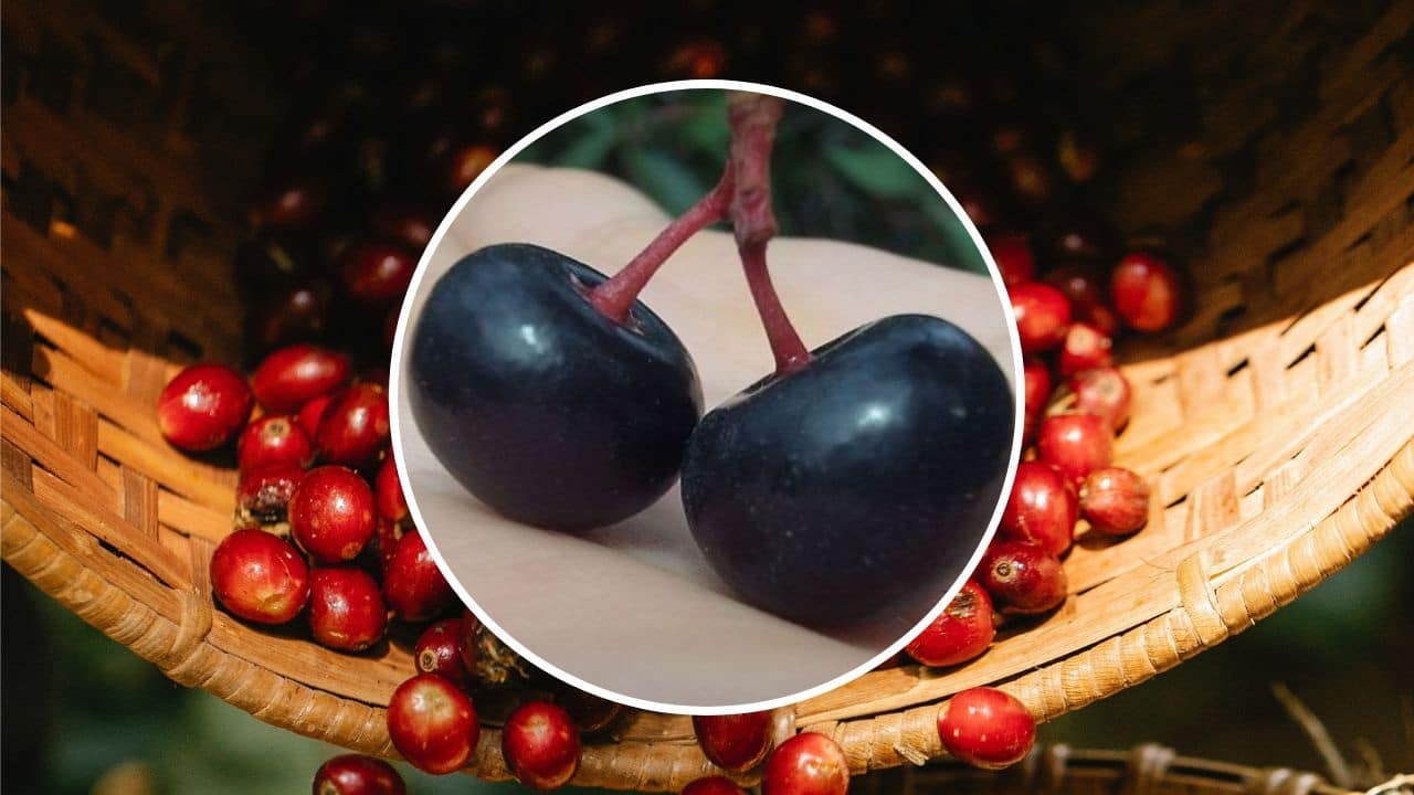 beneficios salud capulin cereza