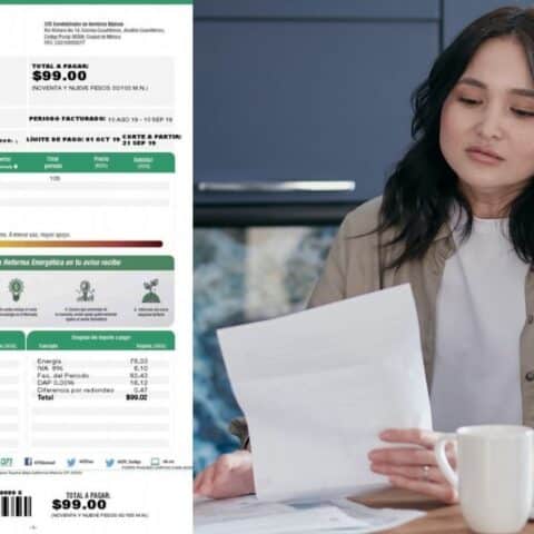 recibo de luz como cambiar nombre