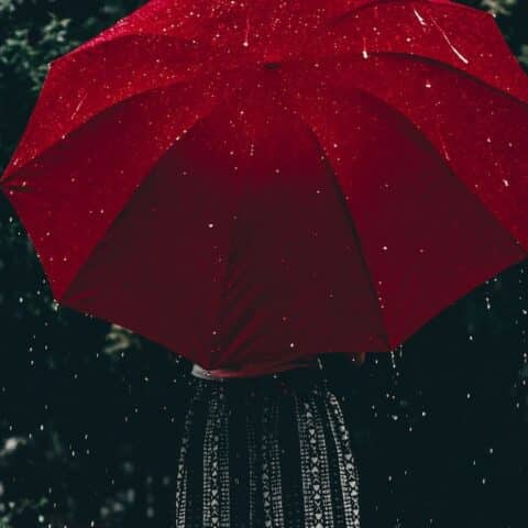 Ritual con agua de lluvia para atraer la felicidad a tu vida 2