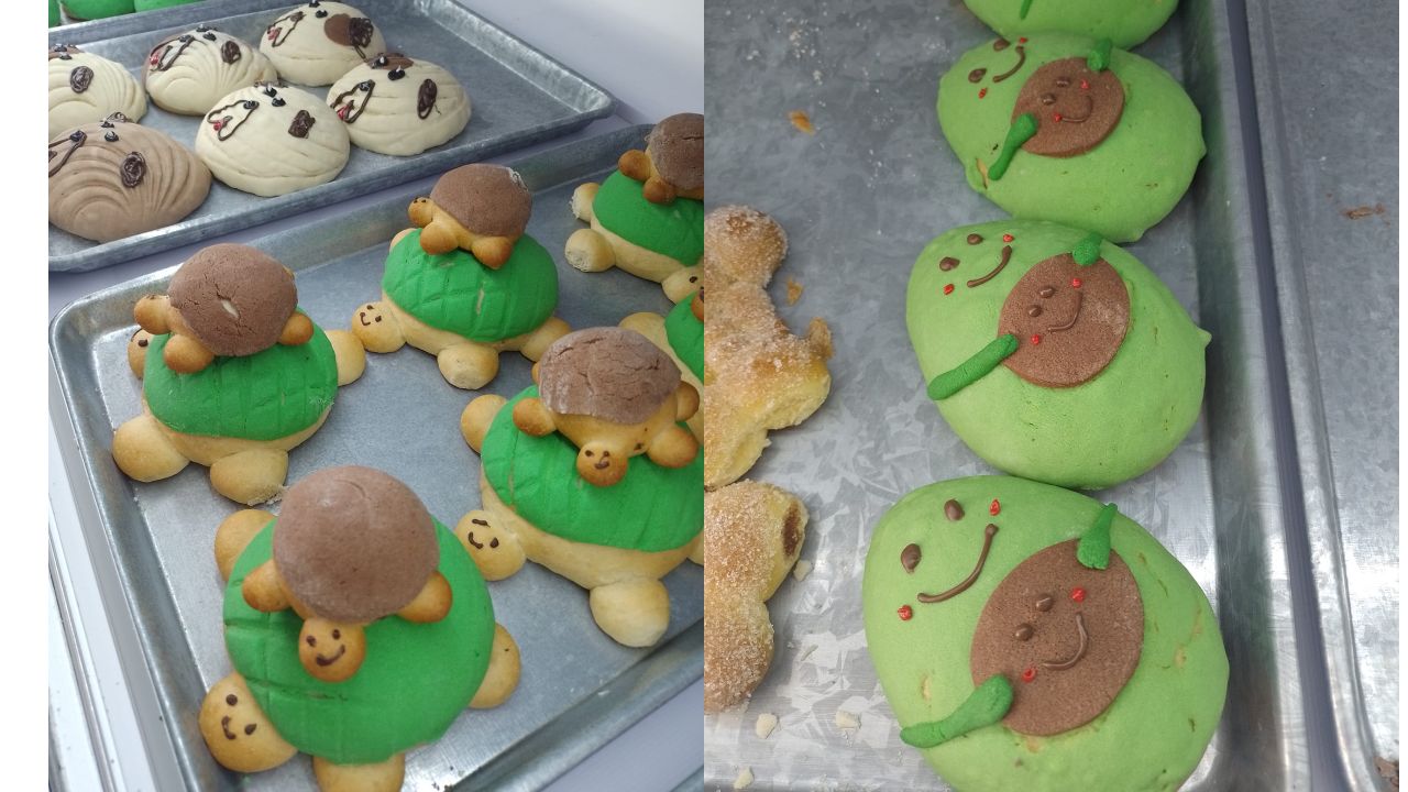 Dónde comprar Simiconchas