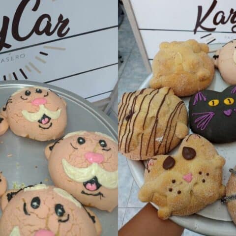 Dónde comprar Simiconchas