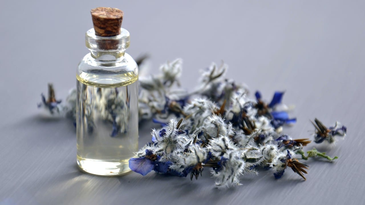 Spray de lavanda para eliminar las chinches