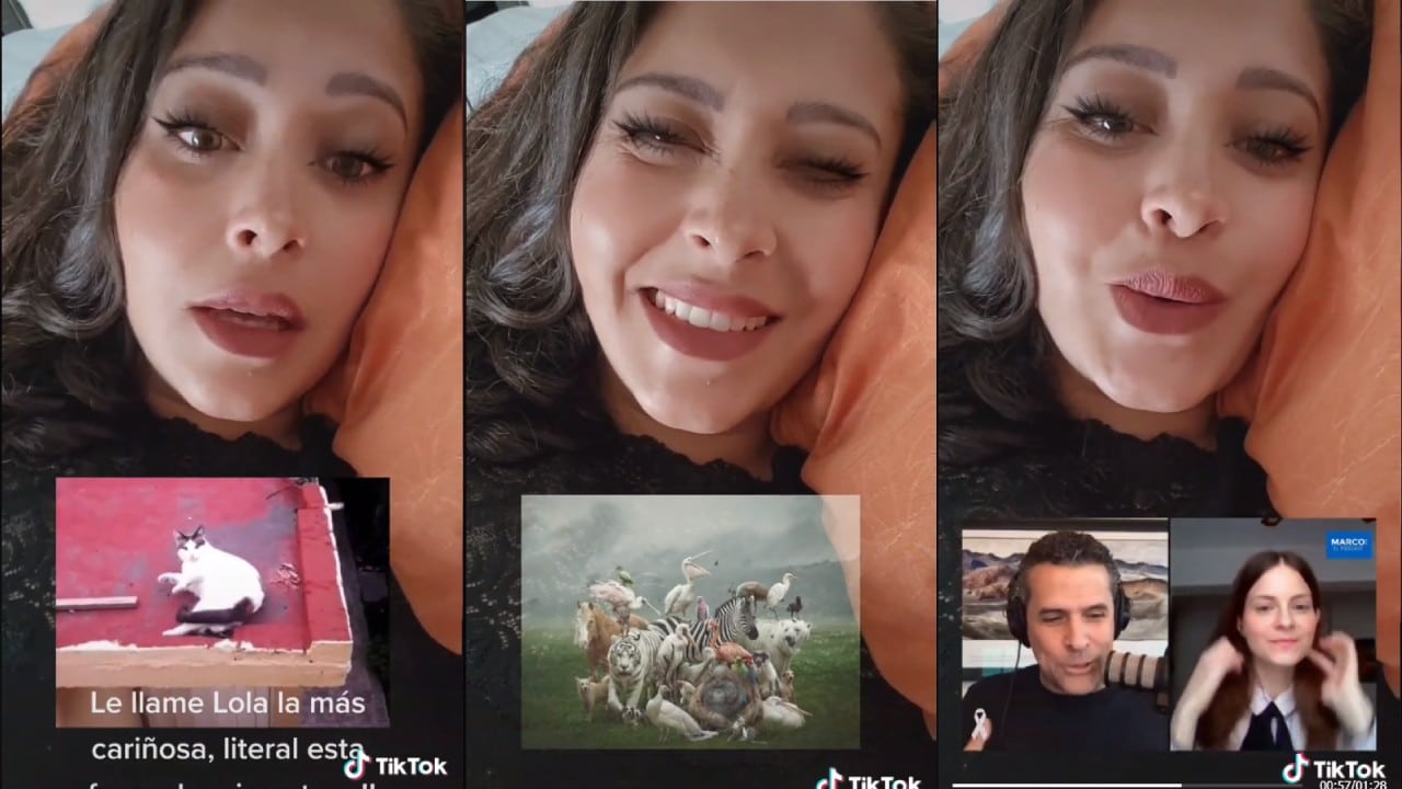 Tiktoker puede hablar con animales