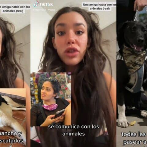 Tiktoker puede hablar con animales