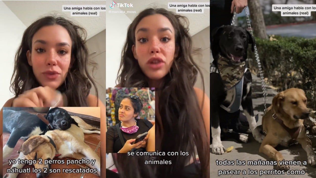 Tiktoker puede hablar con animales