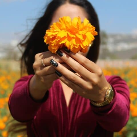 cempasúchil viva más tiempo