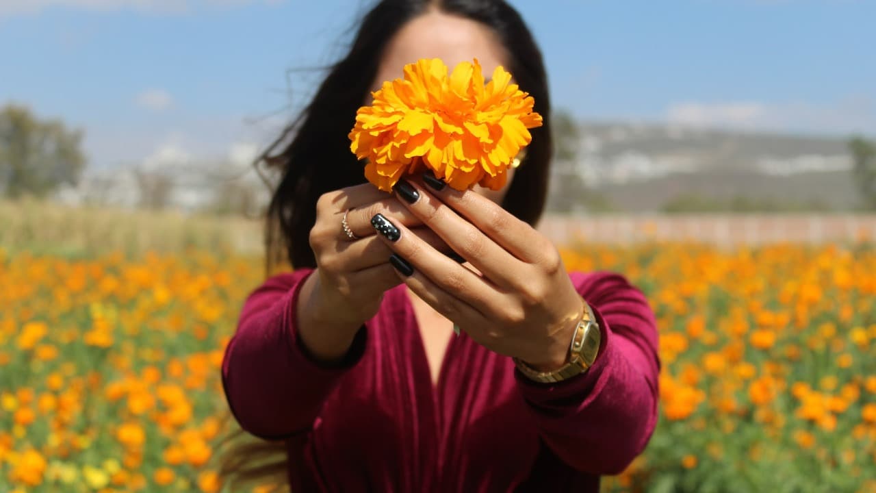 cempasúchil viva más tiempo