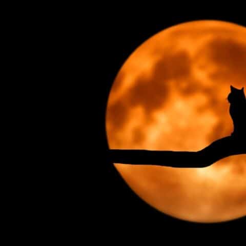 Eventos astronómicos de octubre